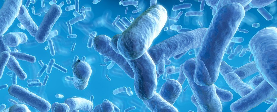 Illustration of blue, rod-shaped bacteria floating in a blue, fluid-like environment, showcasing the effectiveness of SCS' antimicrobial coatings.